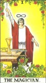 Tarot Card magician
